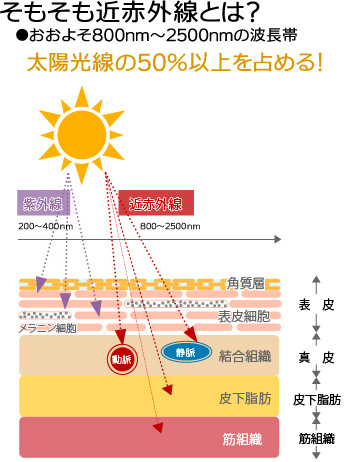 性質の質、卵子の質