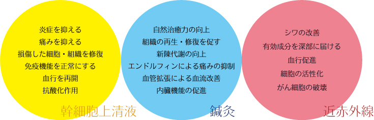 幹細胞、エクソソーム、近赤外線